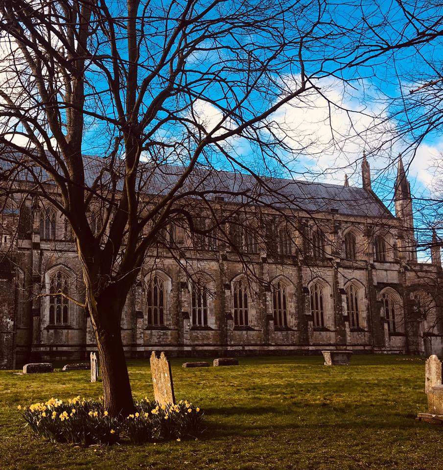 53541734_1189392657886279_2114369647716335616_n