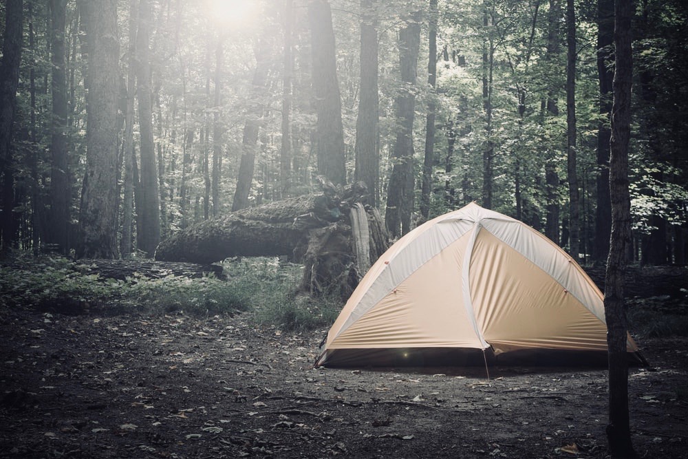 Tent in the woods