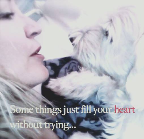 22045941_851149445043937_3156238457238832103_n